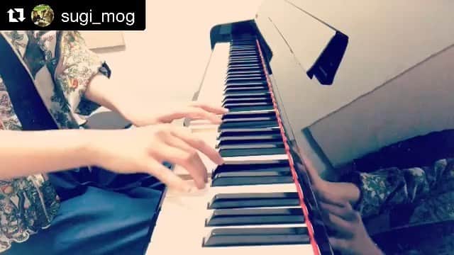 Robert de Boronのインスタグラム：「🎹✨ #Repost @sugi_mog with @get_repost ・・・ ・ 「平成」が終わり「令和」になりましたね✨ ・ 素敵な時代が始まりそうです✨🌈🌎 ・ ・ ・ 今日の曲 【Chiru(Saisei no uta)】 Robert de Boron ・ 万物流転、散るは芽生える。 葉が落ちていく情景を描いていますが、ただ枯れて終わりではなく、また再生する力強さを含めた曲です。 ・ ・ ・ 聴いてくれてありがとう❣️ ピアノの音色があなたの癒しになりますように✨ ・ ・ #piano #pianocover #piano🎹 #pianoplayer #pianolove #ピアノ演奏 #ピアノ #jazzyhiphop #inyamellowtone #robertdeboron #癒し #mellow」
