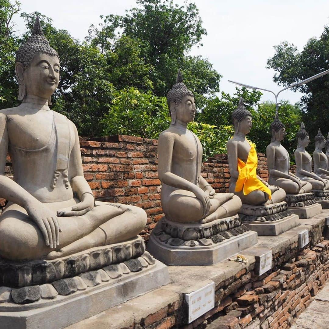 角田聖奈さんのインスタグラム写真 - (角田聖奈Instagram)「Ayutthaya🏰🙏 DAY２🇹🇭 #Ayutthaya #Thailand #アユタヤ #世界遺産 #タイ旅行 #タイ #お寺 #世界遺産巡り #世界遺産の街 #美 #歴史 #スコール待ちはインスタ更新」6月6日 17時19分 - seina1105