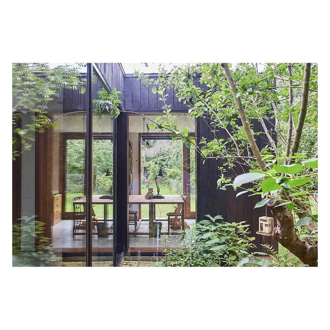 The Modern Houseさんのインスタグラム写真 - (The Modern HouseInstagram)「Get your green fingers twitching with this round-up of inspiring summer gardens, sourced from our homes currently for sale 🌱  #greatoutdoors #greenthumb #gardeninspo」6月6日 17時54分 - themodernhouse