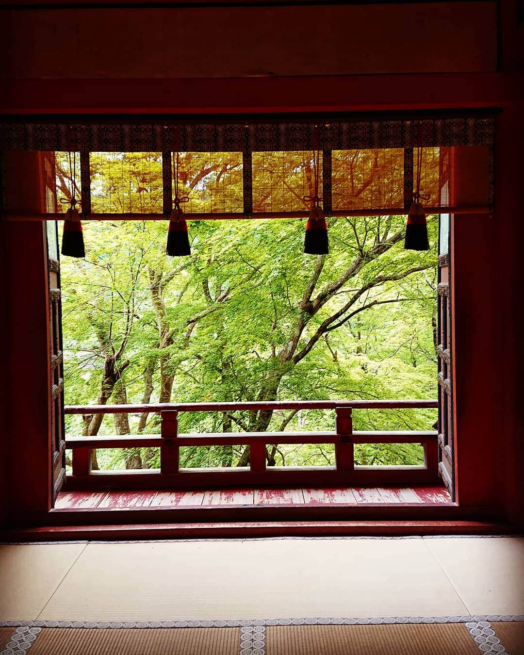 和田益典さんのインスタグラム写真 - (和田益典Instagram)「◆ 新緑の談山神社「六」 . 2019年5月18日(土) スマホ撮影 . 拝殿(重文)の内部から ① . . 額縁みたいになるから良き。 . けど紅葉シーズンでは人多過ぎて撮るのが非常に難儀なアングルなり。 . . 神聖な場所やし、畳も綺麗やから、臭っさい足で上がらないよう、くれぐれも御注意を。笑 . . . #談山神社 #奈良 #大和路 #中臣鎌足 #多武峰 #奈良県 #桜井市 #神社 #扉 #拝殿 #回廊 #畳 #額縁 #shrine #japanesehistory #bronze #簾 #frame #房 #重文 #重要文化財 #経木簾 #door #green #木造建築 #社殿 #tatami #japan #photo . #わだます寺社巡り . . えっ？ 俺？ . 全然臭くないなり。(とりまこの日は) . .」6月6日 17時57分 - masunori_wada