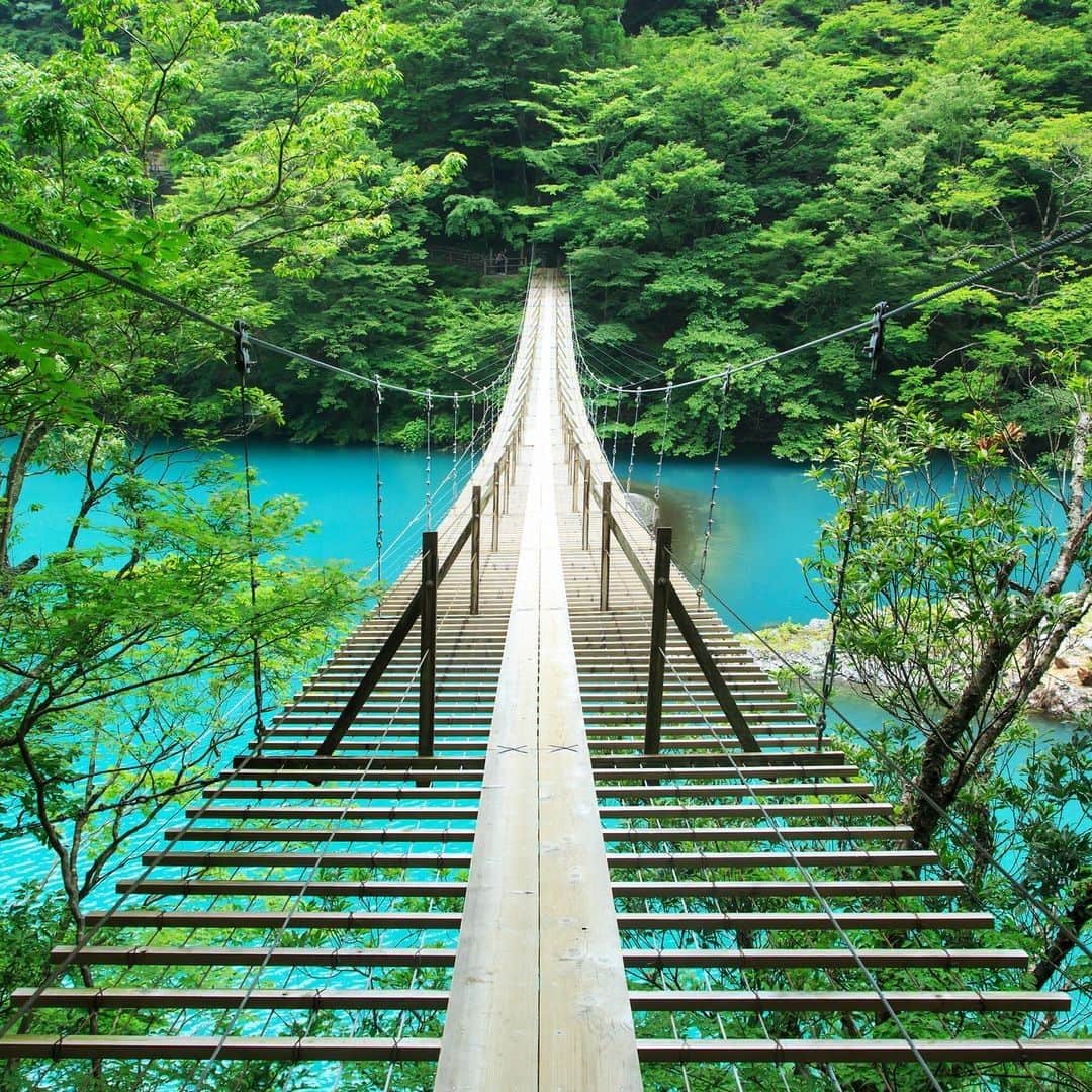 のインスタグラム：「#静岡県 ：  #夢のつり橋  目が奪われるほど美しい湖の上にかかるつり橋✨ 湖の透明度が高いからこそ、 晴れて光が注がれる日はとても綺麗な色になります😊 紅葉シーズンも人気ですが、 新緑がきれいな山々を感じることができる これからの季節もおすすめです🌿 . ************************ 旅先で撮った素敵な写真に @rakutentravel をタグ付けしてシェアしてね♪ 厳選してこのアカウントで紹介させていただきます！ ************************ .  #楽天トラベル #楽天  #rakutentravel #旅 #旅行 #旅に出よう #旅行好きな人と繋がりたい #travel #trip #日本 #japan #일본 #instagramjapan #IG_JAPAN #japantrip #shizuoka #静岡 #breathtakingview #lovetraveling #日本の絶景 #寸又峡 #beautifullake #絶景」