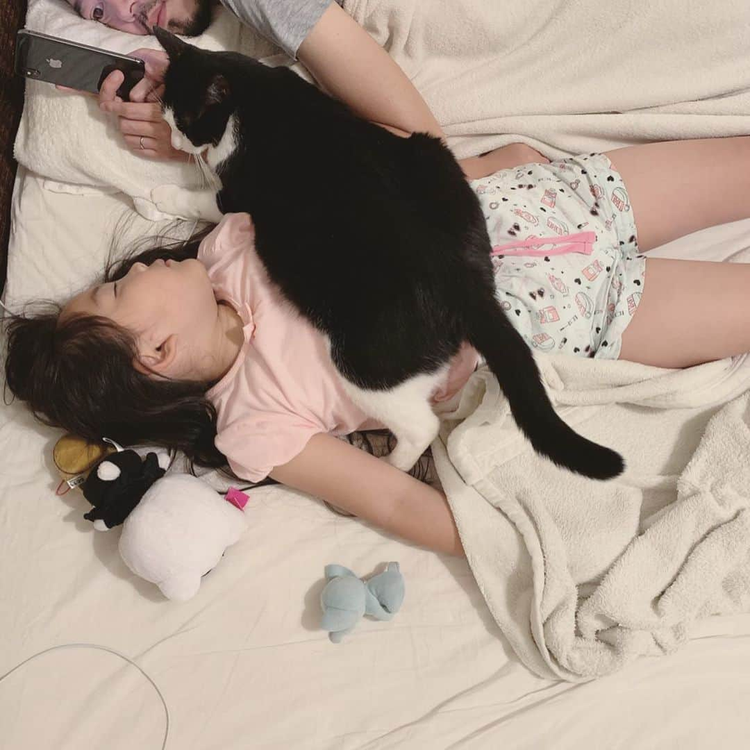 korokoronyaさんのインスタグラム写真 - (korokoronyaInstagram)「✣*∗ 6 Jun, 2019  The other day’s 🐱👧🏻💤 * こないだ弟🐱がすごい寝方してた…💤 姉ちゃん👧🏻爆睡で全然起きない😝 暑くないんかなぁ。 * 一日中外の仕事なので 今日はキツかったよー😵☀️🔥 スゴイ疲労感… #やる気起こらん #放心状態 #誰か家事やって #何もしたくない * #ごまとちびまめ」6月6日 19時11分 - korokoronya