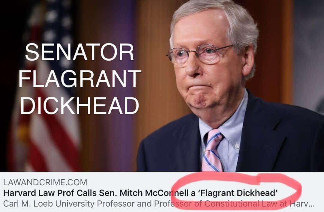 Taboo English®のインスタグラム：「“Next, the chair recognizes the Honorable SENATOR FLAGRANT DICKHEAD.” 💯💯💯💯💯💯💯💯 • • • • #usa #politicsasusual #ussenate #senators #senatordickhead #flagrant #flagrantdickhead #mitchmcconnell #eatadick #werefucked」