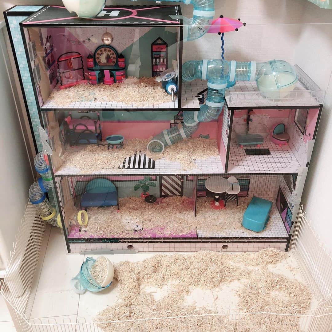 みのりんのインスタグラム：「Transforming LOL doll house to hamster house :) LOLサプライズのお家をハムスターハウスに改造したよ！！ #hamster #diy #cute #house #lolsurprise #lolサプライズ #ハムスター #roomtour #housetour #ルームツアー」