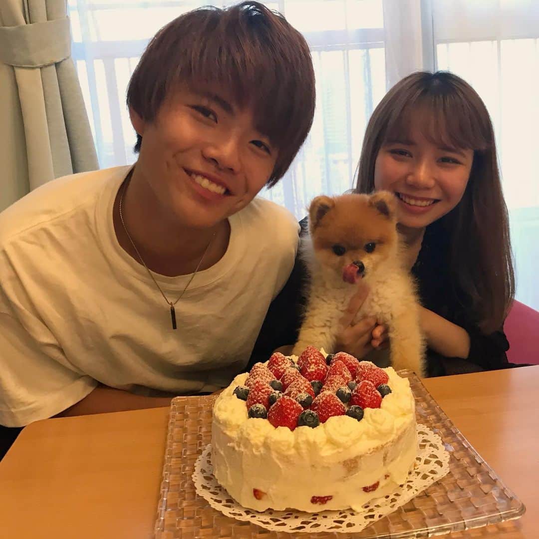 RIO POMEのインスタグラム：「今日はにいちゃんの18歳誕生日🎂✨ .  ママさんがはびちゃんと一緒にケーキ作りました🍰 はびちゃんデコレーションがんばったよ💕  記念の3ショット💕#ポメラニアン #pomeranian  #犬 #dog #dogstagram#doglover #愛犬 #わんこ #ポメラニアン大好き #ポメラニアンが世界一可愛い #pom #ぽめらにあん #ポメ#pomeraniansofinstagram  #pomeranianlove #ふわもこ部 #いぬバカ部 #癒しわんこ#instapic#pomstagram #puppy #dogsofinstagram #cute#cutedog」