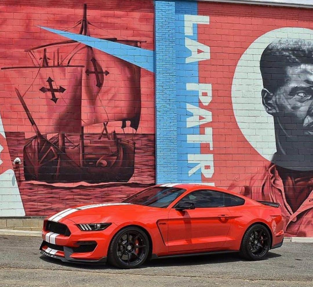 CarsWithoutLimitsさんのインスタグラム写真 - (CarsWithoutLimitsInstagram)「Race Red 2017 Shelby GT350 sitting on @signaturewheel ⛽️ Photo @prime_gt350  #carswithoutlimits #ford #mustang #shelbygt350 #fordmustang #red #toronto」6月7日 1時22分 - carswithoutlimits