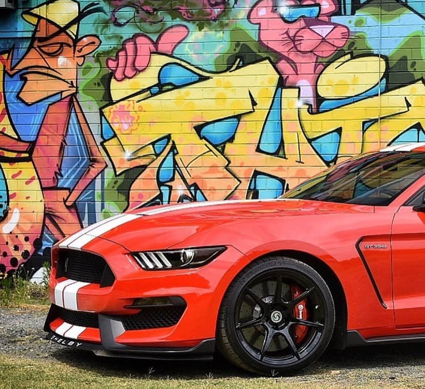 CarsWithoutLimitsさんのインスタグラム写真 - (CarsWithoutLimitsInstagram)「Race Red 2017 Shelby GT350 sitting on @signaturewheel ⛽️ Photo @prime_gt350  #carswithoutlimits #ford #mustang #shelbygt350 #fordmustang #red #toronto」6月7日 1時22分 - carswithoutlimits
