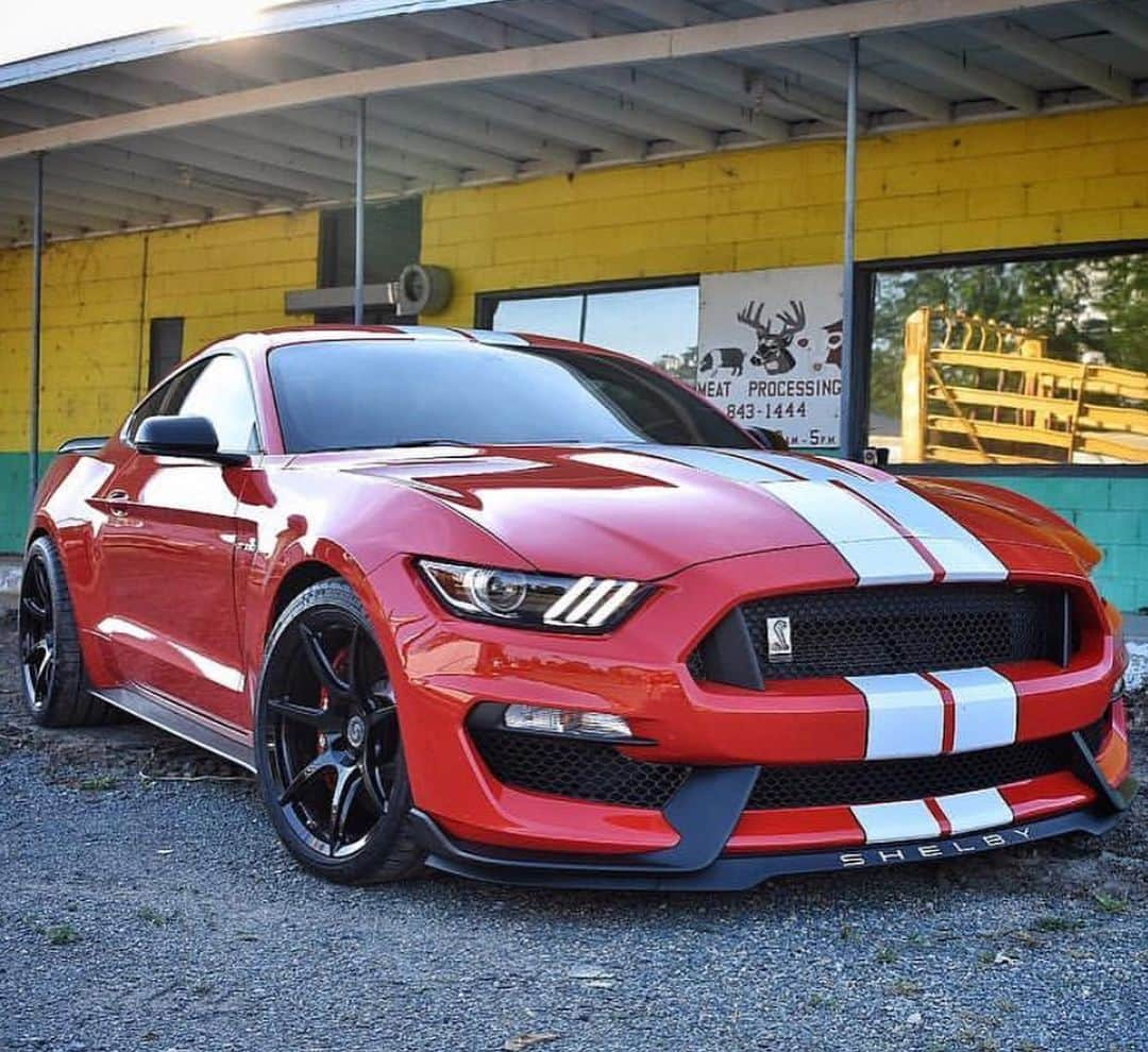 CarsWithoutLimitsさんのインスタグラム写真 - (CarsWithoutLimitsInstagram)「Race Red 2017 Shelby GT350 sitting on @signaturewheel ⛽️ Photo @prime_gt350  #carswithoutlimits #ford #mustang #shelbygt350 #fordmustang #red #toronto」6月7日 1時22分 - carswithoutlimits