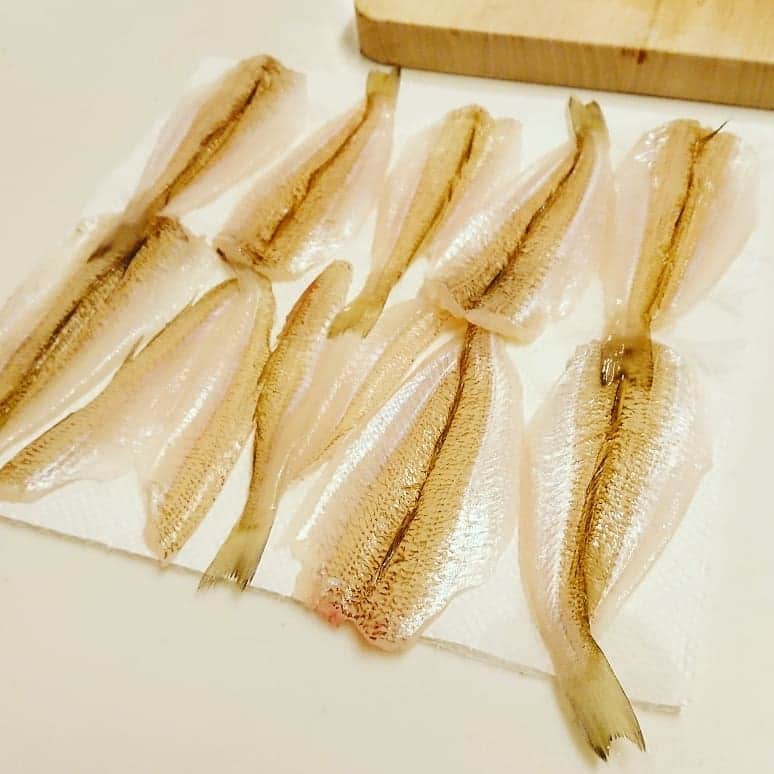 伊勢みずほさんのインスタグラム写真 - (伊勢みずほInstagram)「一生懸命！！ ざばいてさばいて。。。 まだまだいるー😂😂😂 何時間かかるんじゃー😨😨😨 休憩🍵  #キス #鱚 #鱚釣り #料理 #魚をさばく #釣り #新潟 #海 #海の恵みに感謝 #天ぷら #刺身 #フィッシング #がんばれ#自分  #holiday  #cooking  #japanesefood  #ぐったり  #笑 #早く食べたい」6月6日 20時04分 - isemizuhoo