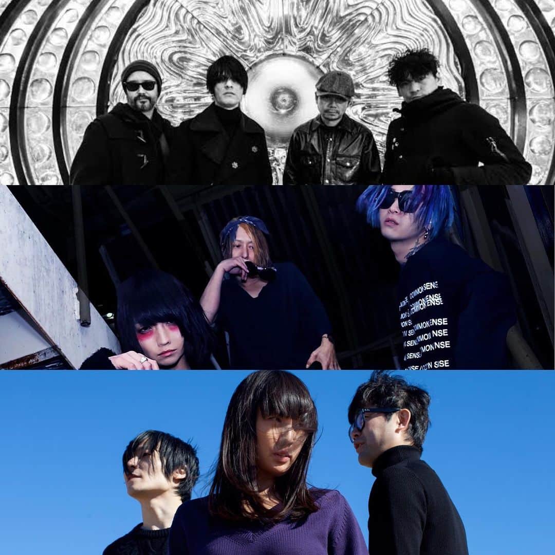 宮本菜津子のグルメインスタ