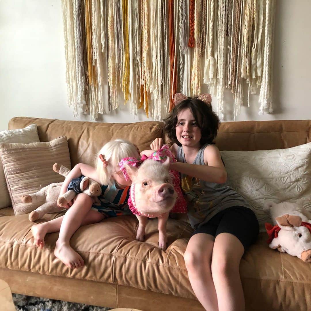 Priscilla and Poppletonさんのインスタグラム写真 - (Priscilla and PoppletonInstagram)「Best Play-date Ever! Pop and I took the kids to play with Nova, the daughter and niece of two of two of mommy’s favorite Instagram sisters @elsielarson and @emmaredvelvet. We had fallen in love with Nova through all her adorable pictures online with her stuffed piggies and were so excited to finally get to meet her (she’s even cuter in person). The kids had a blast, and Nova even invited them in her adorable play-house for a snack. We just loved how she got her broom and started sweeping up after them! Don’t worry Nova! They won’t leave your house a pig-sty! Pigs are really good at cleaning up crumbs! ThOINKs Elsie for inviting five pigs and pug into your house and thOINKs Nova for all the hugs and kisses. Hope you have the best birthday ever!(Swipe for more cuteness)🐷💕👧🏼#nashville #PiggyPenn #PoseyandPink #PrissyandPop」6月6日 20時35分 - prissy_pig