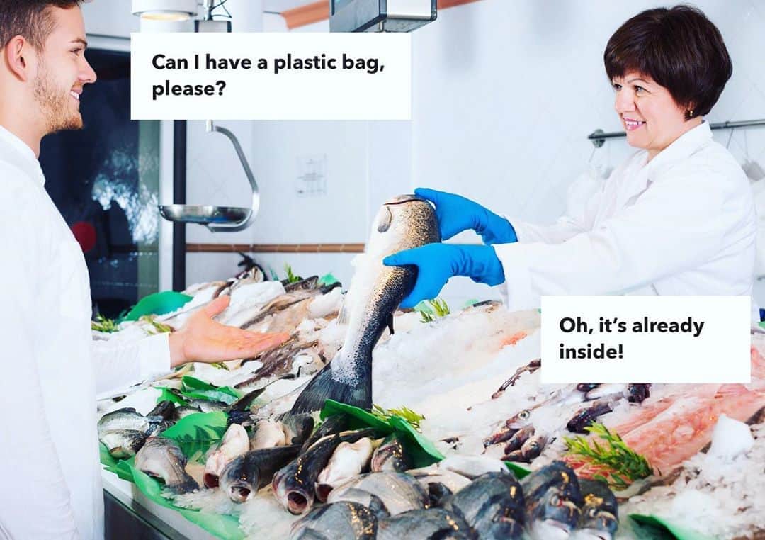 ミロスラヴァ・デュマさんのインスタグラム写真 - (ミロスラヴァ・デュマInstagram)「BREAKING NEWS: Have you heard that plastic is edible? No. Because it’s not. And I have Bad news for you today: we DO eat it anyway. You have probably heard about floating garbage islands in the oceans. But the most obvious problem is not necessarily the biggest. Plastic debris thrown into oceans are mechanically broken into smaller and smaller particles, whiсh are consumed by filter feeders, fish, which are in turn consumed by us, humans. You can say it's not a problem, that you will simply stop eating marine food and be safe.  But The Thing is, it was recently proven that around 85% of tap water samples from around the world also contain those micro- and nano plastic particles and humans consume thousands of them daily. Governments are slow to act, but YOU can be faster and more efficient all day everyday.  SO what can you do personally to protect ourselves and our children? Reducing your plastic consumption, saying NO to plastic bags, straws, packaging in supermarkets,restaurants, cafes and etc! RECYCLE ♻️, choose environmentally friendly suppliers (just think about a candy wrapped in endless layers of plastic). Each and everyone of you can start a movement today.  ANYONE has better/more ideas? Please share! ☀️🌳🌼」6月6日 20時46分 - miraduma