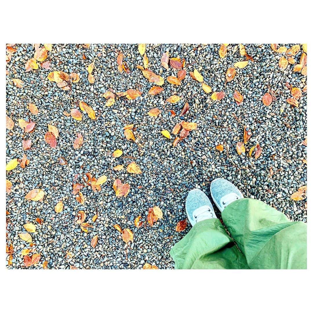 のインスタグラム：「Fall🍁」