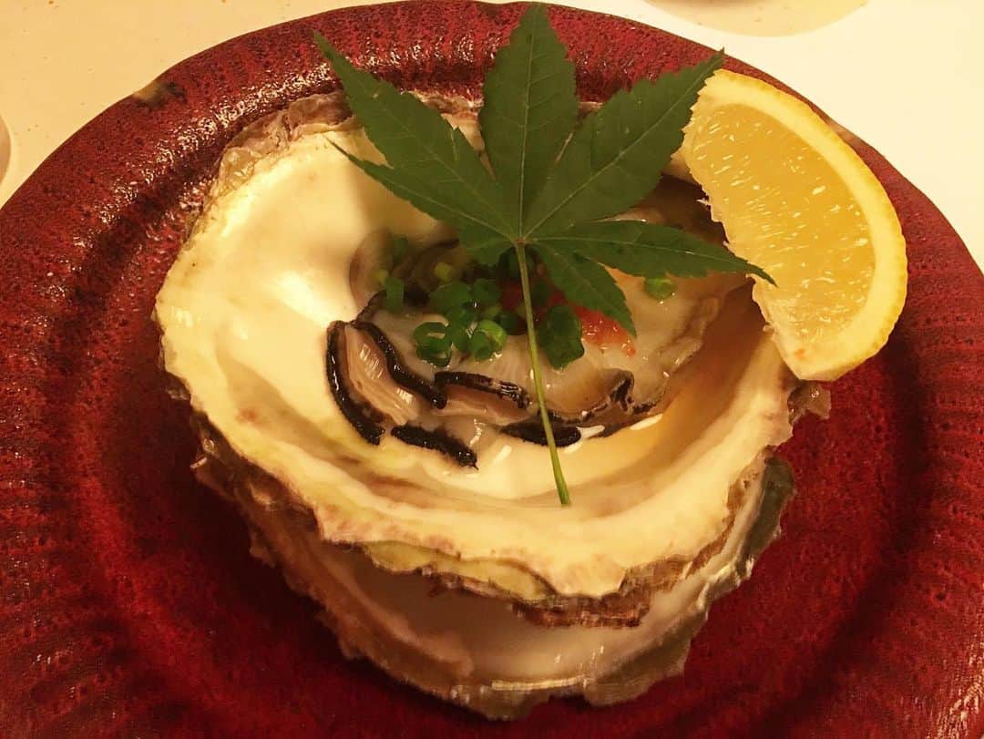 畑喜子さんのインスタグラム写真 - (畑喜子Instagram)「めっちゃ美味しいご飯を食べに連れて行って貰った‼️ 一体いくらしたのか怖くて聞けなかった💦 #おいた #新宿グルメ」6月6日 20時47分 - carnelian_hata
