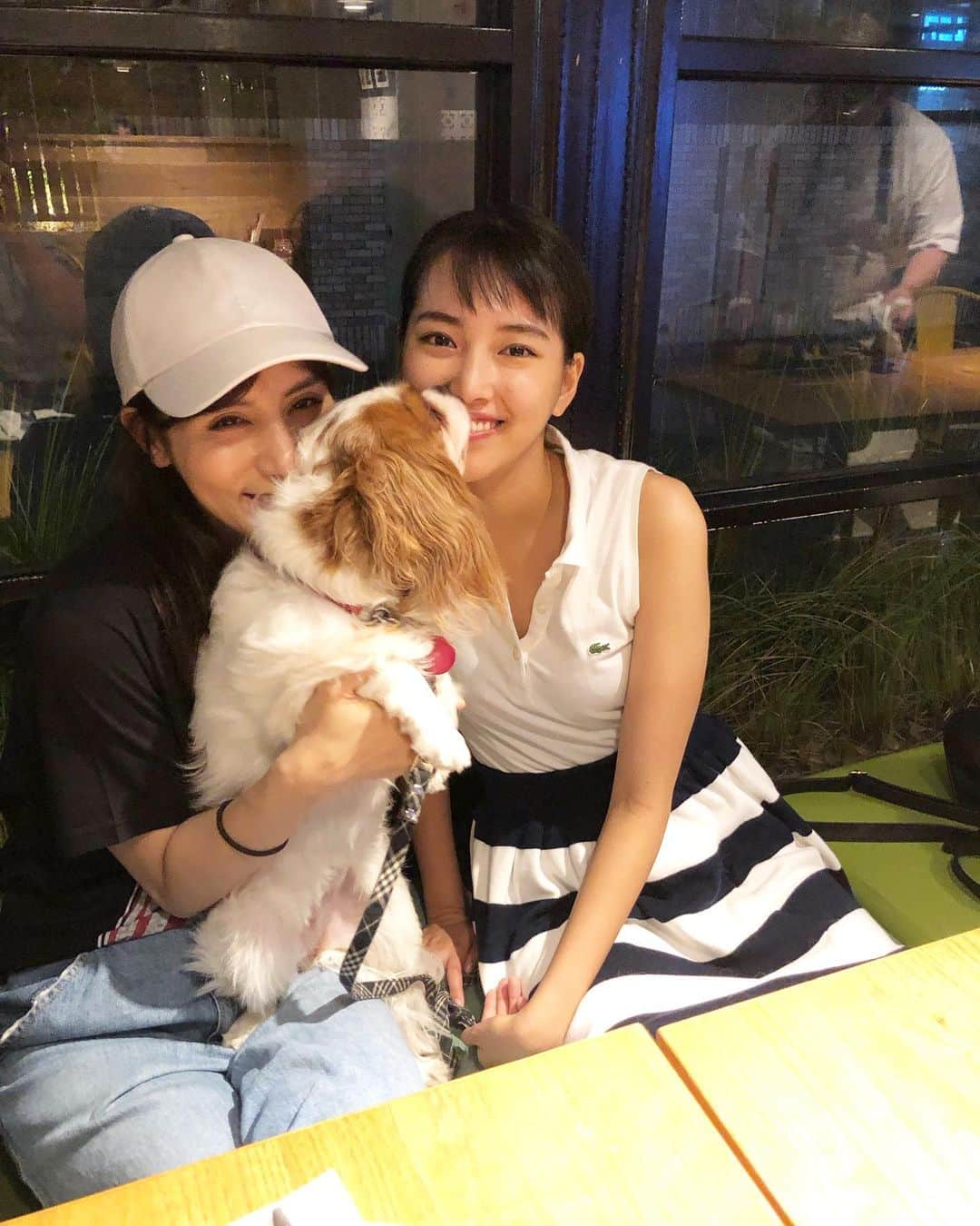 のインスタグラム：「#DINNER 🐶🐶」