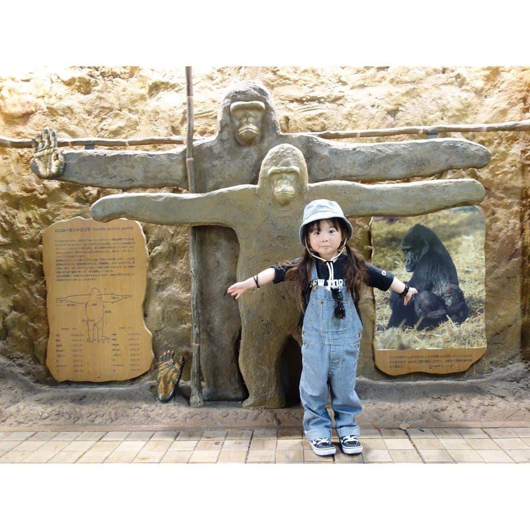 Saraさんのインスタグラム写真 - (SaraInstagram)「. 上野ZOO🐼 . 久しぶりの動物園で テンション上がったサラだYO！ . いろんな動物が見られて 大満足なサラだYO！ . 帰り際に選んだぬいぐるみは なぜだかハムスターだYO！ . 🤟🕶✨ . #ootd #kids #サロペット #ヒッコリー #上野動物園 #ラッパー #フリースタイルサラ #あつくるしい」6月6日 21時09分 - sarasara718