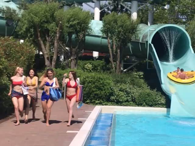 ブランディーナのインスタグラム