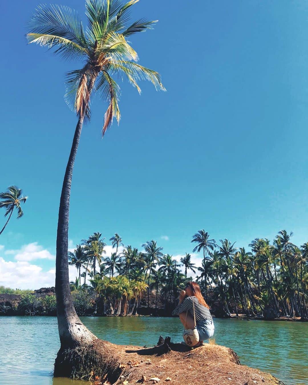 岡本杏理さんのインスタグラム写真 - (岡本杏理Instagram)「・﻿ この後22:54からフジテレビにて﻿ 『Aloha story ～ハワイから愛をこめて～』がO.Aになります。﻿ 是非ご覧ください☺︎﻿ ﻿ ここはハワイ島なんだけど、1人だけの島って感じでとっても素敵な場所でした🌴」6月6日 21時38分 - anri_okamoto