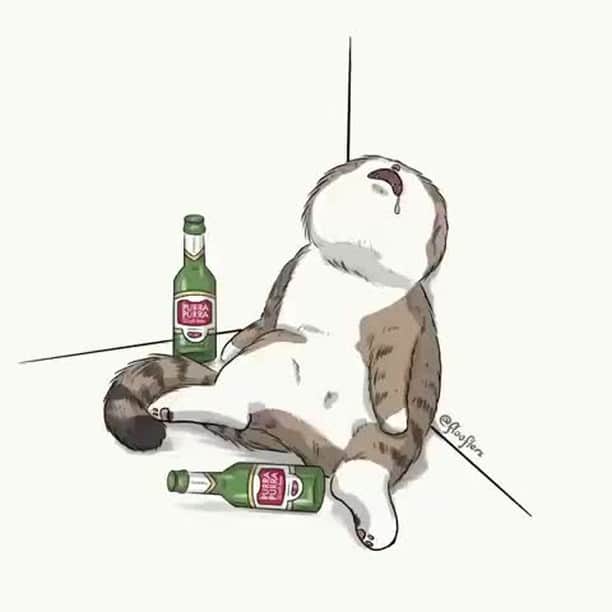 Aww Clubのインスタグラム