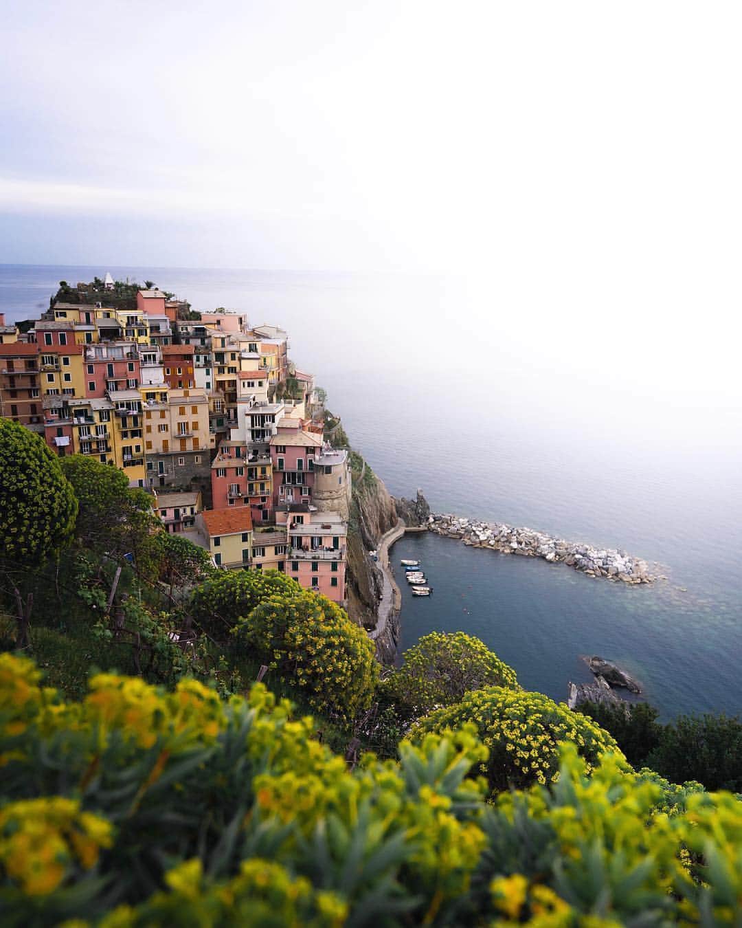 instagoodさんのインスタグラム写真 - (instagoodInstagram)「@whilenotworking Different angle of spring in Manarola, Cinque Terre. Always trying to find a new perspective of a nice place, and this time it turned out not so bad I think.  You just need to hike a bit more and walk a bit further then you get the whole place for yourself from different pov. • Perks of being a bit extra!」6月6日 22時04分 - instagood