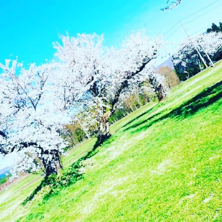 COMA-CHIのインスタグラム：「Jomon stone circle... such a mysterious vibration!! 縄文遺跡といえば！秋田の大湯環状列石というストーンサークル。 ここに訪れ感じたのは、「光の増幅装置」。無数の石たちが太陽光を乱反射して、そのエネルギーを共振させ何百倍にも高めている感覚を受けました。 古代の人たちはきっとそのエネルギーと交わり、バイブス上げていたんじゃないかと。 そんな妄想女子達にオススメイベントが土曜日に長野であります！ その名も「縄文女子会合」。 MC Mystie，ラビラビと共にトークまで！ そして翌日、日曜日は横浜グラスルーツにてJOMON TRIO!! 縄文バイブス高めな週末、リンクしに来てね🌈🙌」