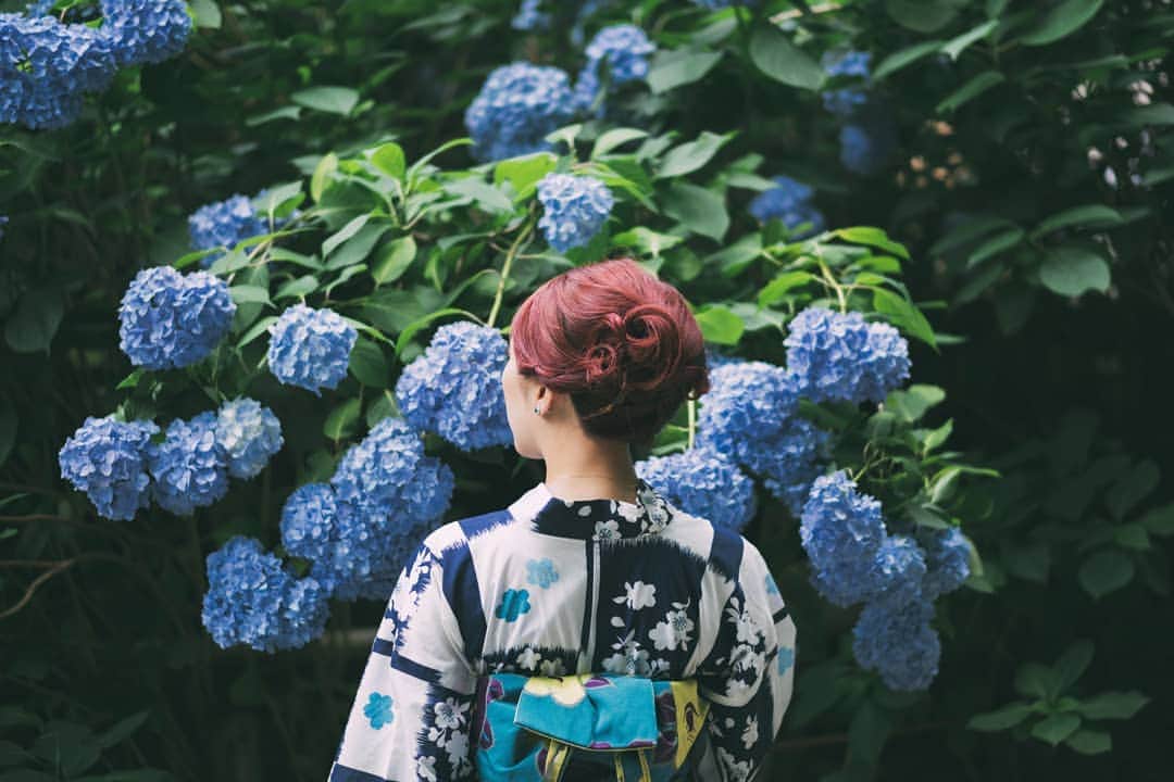 貴愛kwiae Officialのインスタグラム：「紫陽花の日。 こんな美しいのに、「移り気」や「浮気」「無常」なんて花言葉付けられちゃって理不尽ね。🙃 君は美しいよ。 * * * * #紫陽花の日 #あじさい #紫陽花」