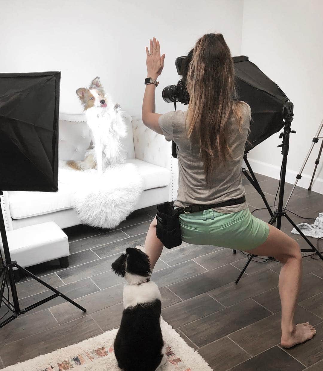 Jazzy Cooper Fostersさんのインスタグラム写真 - (Jazzy Cooper FostersInstagram)「A behind the scenes taken by my husband. 🙈 Squat and karate chop are the keys to getting a good high five shot. 🕺🏻#BBPBshow」6月6日 23時04分 - bordernerd