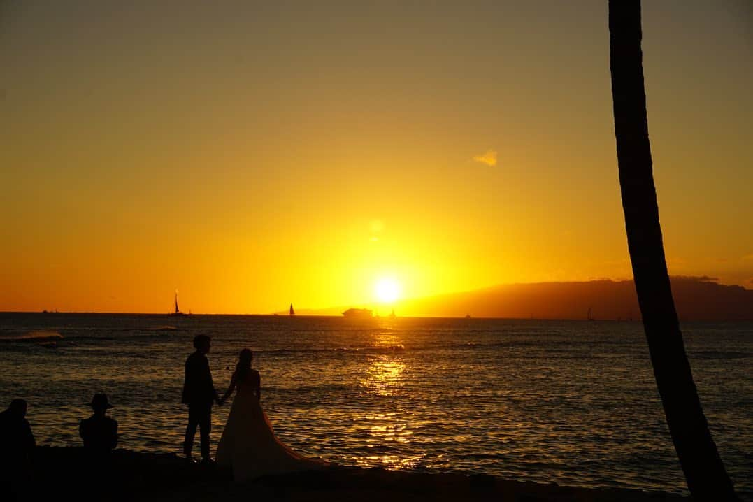 高橋ユウさんのインスタグラム写真 - (高橋ユウInstagram)「Hawaii日記🌴 結婚式前夜は、 @michels_at_the_colony_surf で乾杯🥂 写真1枚目はまだ明るいけどスライドしていってみて✌︎ サンセットの時間になると、レストランが真っ赤に染まるくらい綺麗〜なサンセットを拝めました♡ まるで翌日の結婚式をカウントダウンしてくれているかのように沈んでいく太陽を見ながら、めっっちゃ美味しい食事をいただく。。 そして、デザートにお祝いの言葉も添えていただいて。そのタイミングで花火が打ち上がる🎇 ちょうど金曜日の夜だったからHiltonから打ち上がる花火も観れました😭🙏 どんだけロマンチックやねん🌺なDinner Time。 今のハワイの規則では、ここまでビーチの近くにレストランを作ることも出来ないんだって😳 サンセットの写真にうつっている花嫁さんと花婿さんが2人でサンセットを見つめてる姿も美しかったなぁ^^ #ハワイディナー #ハワイ日記 #ハワイ挙式  @hawaiilovers_photo #ハワイラバーズ #hawaiilovers @watabewedding  #ワタベウェディング #watabewedding #yu_weddings #resortwedding #リゾ婚 #hawaiiwedding #hawaiiweddings #hawaiiweddingstyle」6月6日 23時27分 - takahashiyu.official