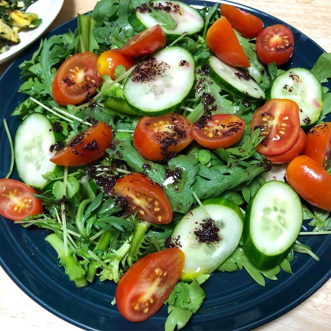 馬渕史香のインスタグラム：「野菜がモリモリ食べたくて、春菊と豆苗のサラダ  ドレッシングはお酢とオイルとふりかけのゆかりでさっぱりなやつ  #ふみかごはん  #あしざわ家 #レシピ #recipe #ずぼらレシピ #主婦 #macaronimate -- #japanese #japanesefood  #food #instafood  #foodstagram」