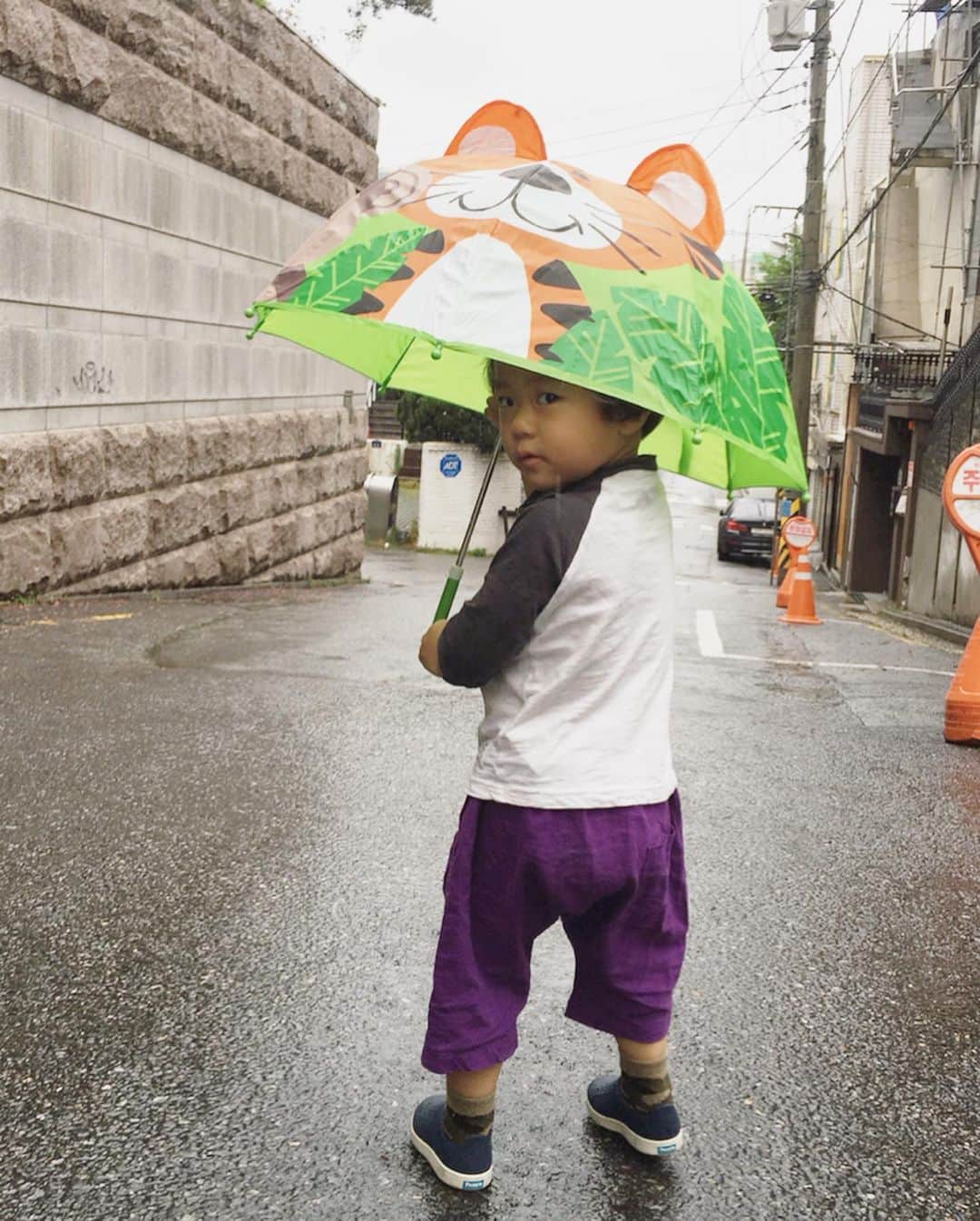 高木りなさんのインスタグラム写真 - (高木りなInstagram)「息子、初めての傘☂️✨南大門で買った傘が早速役に立ちました💚 #もちろん水溜りにジャンプ🙈💦 아들의 첫 우산! 남대문에서 산 우산이 바로 도움되네요👍🏻 . #등원길 #신난다 #비오는날 #아들맘 #登園風景 #雨 #2歳 #男の子ママ #rainyday #babyboy #momlife」6月7日 9時52分 - rinasvoyage