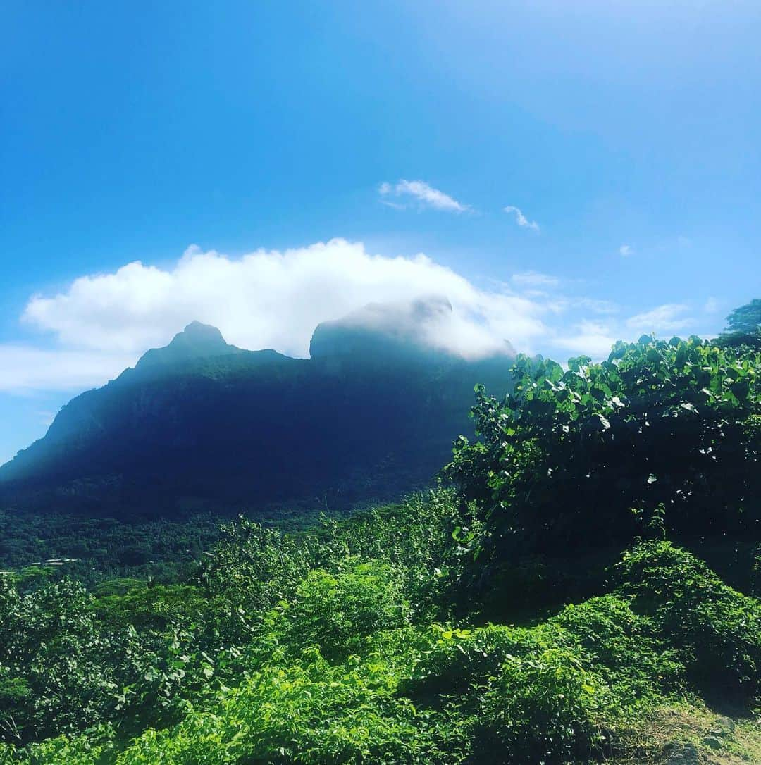 板谷由夏 さんのインスタグラム写真 - (板谷由夏 Instagram)「タヒチボラボラ島を発ちます 旅日記はまたゆっくり」6月7日 9時52分 - yukaitaya