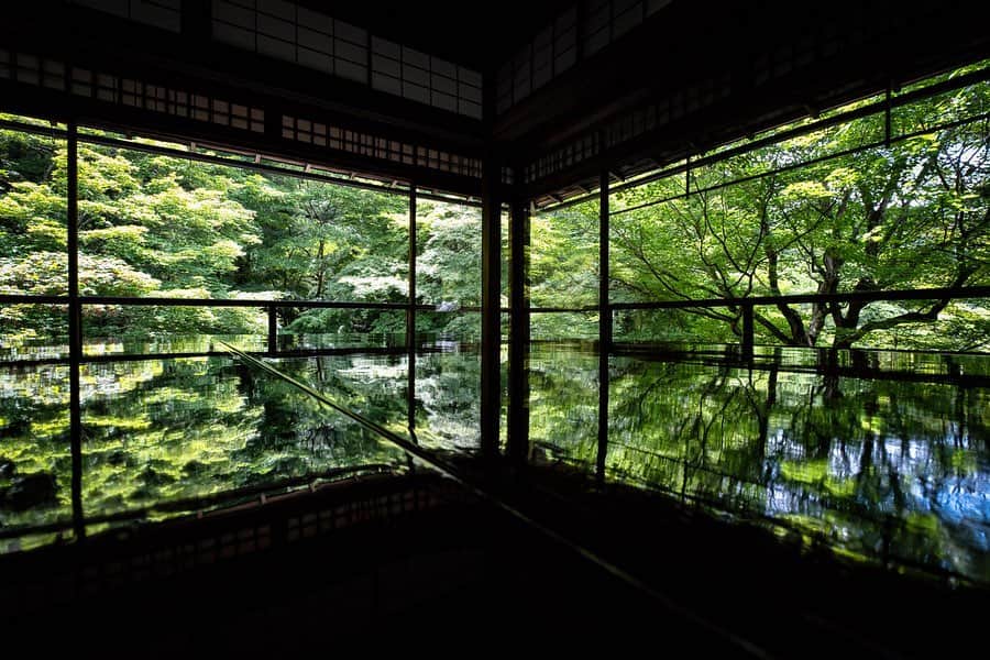 よしむーのインスタグラム：「新緑の季節にNEWカメラで... . location #京都 #瑠璃光院 camera : FUJIFILM X-T3 lens : FUJINON XF10-24mmF4 R OIS film simulation : Velvia . #camera #FUJI #FUJIFILM #fujifilmxt3 #広角レンズ #そうだ京都行こう #snapshot #photography #tokyocameraclub #IG_PHOS #Japan #ig_japan #bestphoto_japan #instagood」