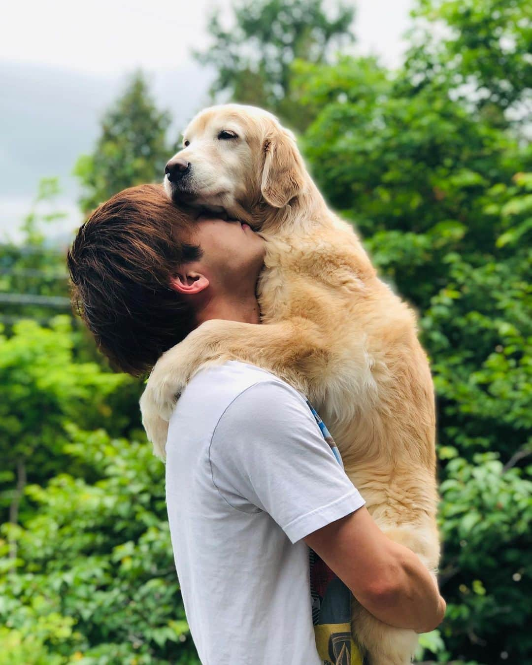 斎藤洸さんのインスタグラム写真 - (斎藤洸Instagram)「きゅうりちゃん🥒との体重差およそ20kg………🐶 #goldenretriever #dog #犬 #わさびちゃんち」6月7日 10時11分 - snare_saitou