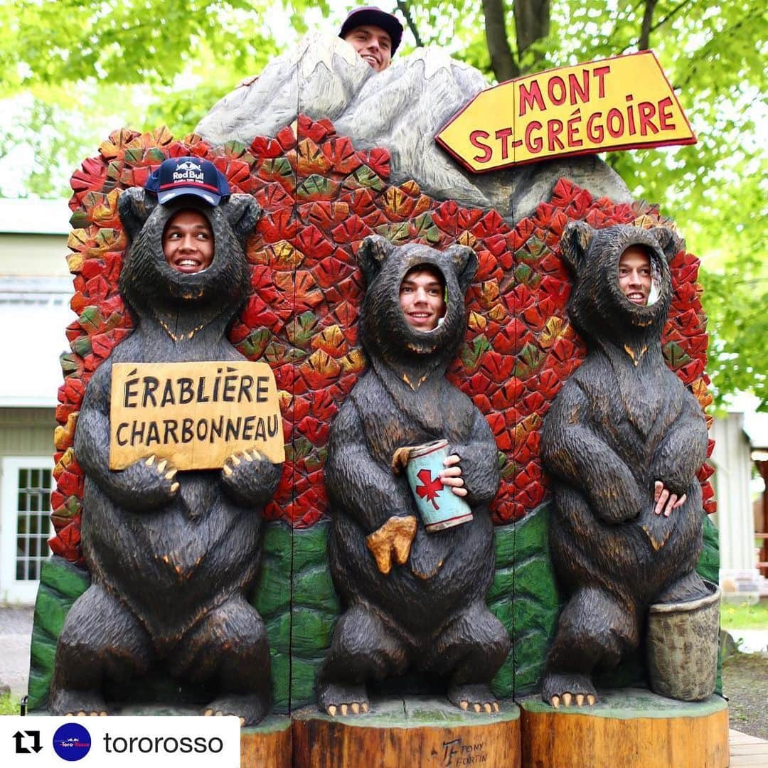 F1さんのインスタグラム写真 - (F1Instagram)「“If you go down to the woods today...” 🎼🐻👀😁 .  #Repost @tororosso .  #F1 #Formula1 #CanadianGP #Canada #Bears #Verstappen #Gasly #Albon #Kvyat @maxverstappen1 @pierregasly @alex_albon @danydk1 @redbullracing」6月7日 3時15分 - f1