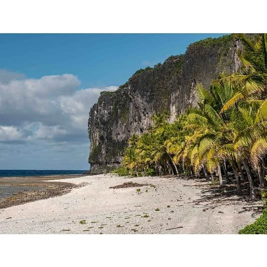 シャーロット・デュリフさんのインスタグラム写真 - (シャーロット・デュリフInstagram)「Woohoo in a week I'll be in this little paradise called Makatea in the middle of the Pacific!  I'll be joining a fine crew lead by @erwan_le_lann as part of @maewanadventurebase. We will be bolting, climbing, sharing with the locals and exploring the island... everything I love 😀  These are the pictures he sent us to get us psyched for Makatea... it for sure worked!  @petzl_official @eb_climbing @volxholds @luxov_connect」6月7日 3時53分 - chadurif