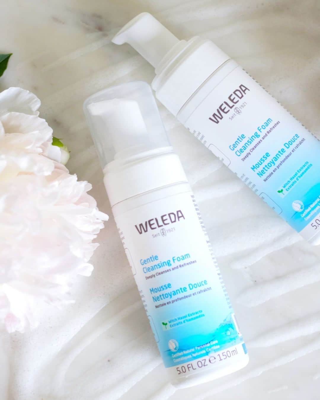 のインスタグラム：「The deep clean your face has been waiting for is now available! Shop our NEW Gentle Cleansing Foam on our website (link in profile).⠀⠀⠀⠀⠀⠀⠀⠀⠀ 💧 It's made with plant-rich extracts⠀⠀⠀⠀⠀⠀⠀⠀⠀ 💧 Deeply cleanses skin gently⠀⠀⠀⠀⠀⠀⠀⠀⠀ 💧 Leaves behind a fresh feeling & glow!」