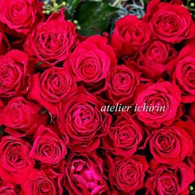 アトリエ一凛さんのインスタグラム写真 - (アトリエ一凛Instagram)「還暦のお祝いに。 真っ赤なバラのみでハートのアレンジをご用意しました。 . たくさんの感謝の気持ちを込めて。 . 一度はもらってみたいけど、 贈ってみるのもいいもんだなと思います。 . 贈りたい人がいるって、シアワセなことだなと、思います。 . 写真をダブルタップしてみて❤️ @atelierichirin ←アトリエ一凛のサイトはこちらから😊 .  #アトリエ一凛 #福岡花屋 #花好きな人と繋がりたい #福岡 #福岡市 #福岡結婚式 #大橋  #花屋 #お花屋さん #花のある暮らし  #花束 #アレンジメント #リース #ウェディング #花屋一凛 #楽屋 #誕生日プレゼント #開店祝い #フラワーアレンジメント #instapic #ig_japan #ig_flowers」6月7日 5時08分 - atelierichirin