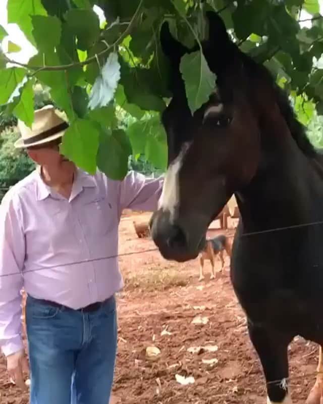 ホセ・レイエスのインスタグラム：「Agarro la teta equivocada 😫 se jodio Don Quijote 😂」