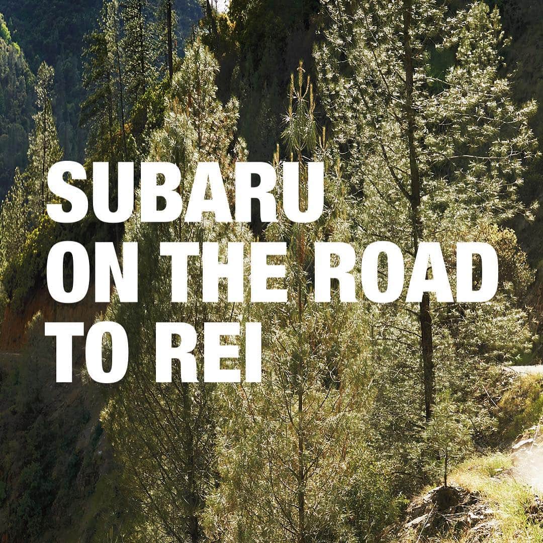 Subaru of Americaさんのインスタグラム写真 - (Subaru of AmericaInstagram)「Subaru is on the road to select @rei stores for a weekend-long celebration with you! Join us at one of the Subaru Road Trip at REI stops, grab a refreshing beverage, and check out the Subaru SUV fleet. Plus, enter for the chance to win an REI Adventure trip for two to either Grand Teton or Yosemite National Park with an REI camp bundle.* ⠀⠀⠀⠀⠀⠀⠀⠀⠀ Own a Subaru? Show us your keys for a free gift. REI members, there is a little something for you too (while supplies last). ⠀⠀⠀⠀⠀⠀⠀⠀⠀ Grab your friends and family—we’ll see you on the road! ⠀⠀⠀⠀⠀⠀⠀⠀⠀ For more information, please visit: subaru.com/rei ⠀⠀⠀⠀⠀⠀⠀⠀⠀ *No Purchase Necessary. 50 US/DC 18+. Ends 11:59:59 PM ET 10/31/19. https://SubaruParkAdventureSweepstakes.prizelogic.com. Official Rules apply.」6月7日 6時45分 - subaru_usa