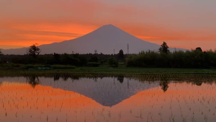 phantastic420のインスタグラム：「. 🤩🤩“Shizuoka” prefecture in Japan is a place where you can see the most “phantastic” Mt. Fuji🗻 in the world.🤩 #富士山 #mtfuji #japan #shizuoka #fujinomiya  #phantastic420photography #mostphantasticmtfuji #selamatpagi  #goodmorning  #おはようございます 😇😇😇😇😇😇😇🗻😇😇 今朝はダメ🤣昨日の朝です😍」