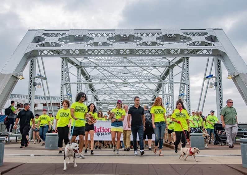 ミランダ・ランバートさんのインスタグラム写真 - (ミランダ・ランバートInstagram)「Music and Mutts are my two biggest passions and it was amazing to see everyone come together to raise awareness about shelter pet adoption this morning at the #MuttNationMarch presented by @TractorSupply!  Thanks @dansmyers & @abbysmyers for joining us! 13 dogs have already found homes today and we’re just getting started this weekend! #LoveAShelterPet」6月7日 7時19分 - mirandalambert