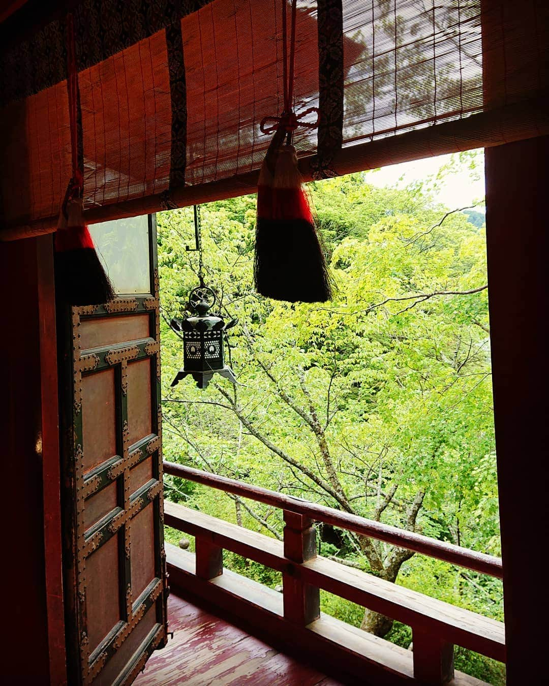 和田益典さんのインスタグラム写真 - (和田益典Instagram)「◆ 新緑の談山神社「七」 . 2019年5月18日(土) スマホ撮影 . 拝殿(重文)の内部から ② . . 経木簾が涼しげ。 . 吊灯篭も一つだけ取り込んでみる。 . そして扉がエエ感じなのさ。 . けどこの扉は反対側(外側)のほうがもっとカッコエエんですわー。 . 次に載せようか。 . . 小刻みに行き過ぎ？ . . . #談山神社 #奈良 #大和路 #中臣鎌足 #多武峰 #奈良県 #桜井市 #神社 #扉 #拝殿 #回廊 #吊り灯篭 #吊灯篭 #shrine #すだれ #モミジ #簾 #燈籠 #新緑 #重文 #重要文化財 #経木簾 #door #green #木造建築 #社殿 #lantern #japan #photo . #わだます寺社巡り . .」6月7日 8時03分 - masunori_wada