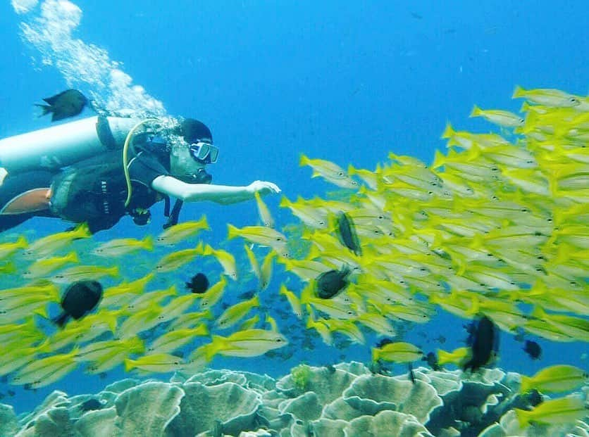 朝日放送「朝だ！生です旅サラダ」のインスタグラム