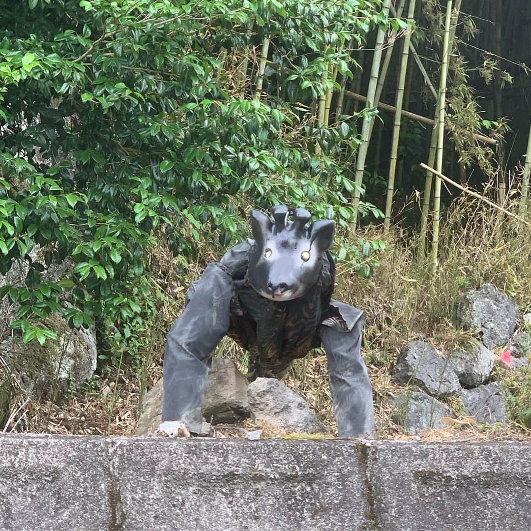 綾小路翔さんのインスタグラム写真 - (綾小路翔Instagram)「夢の国へ行ってきたお♡ #USA #themepark #charactergreeting  #godspeedyou」6月7日 18時54分 - showayanocozey