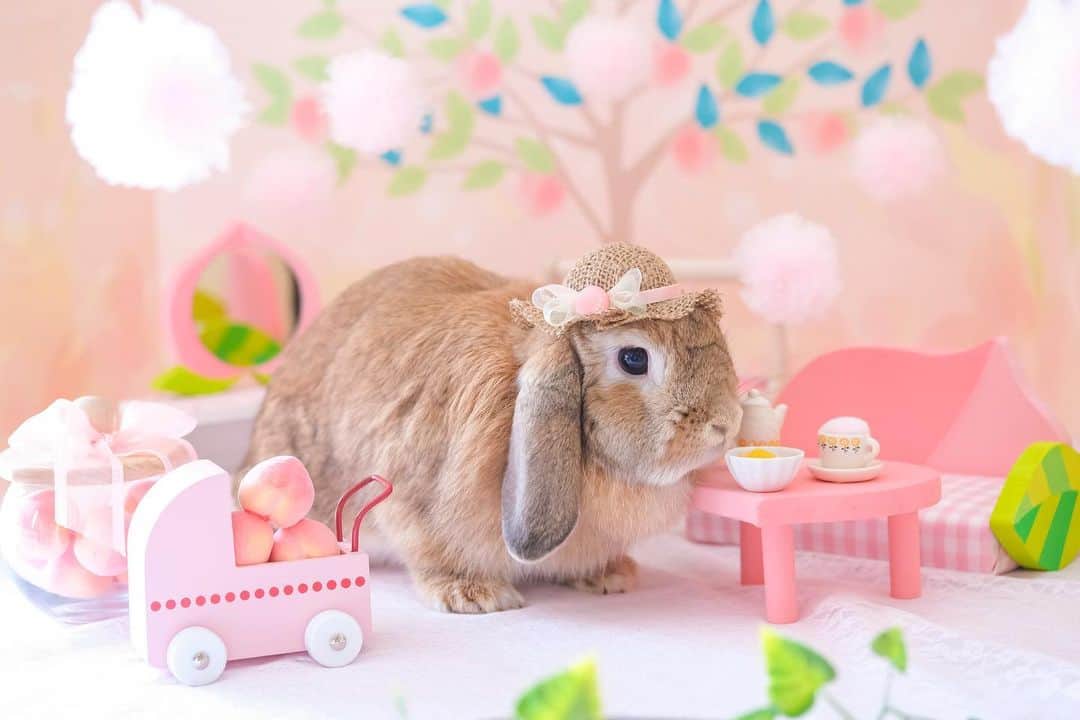 usagraphのグルメインスタ