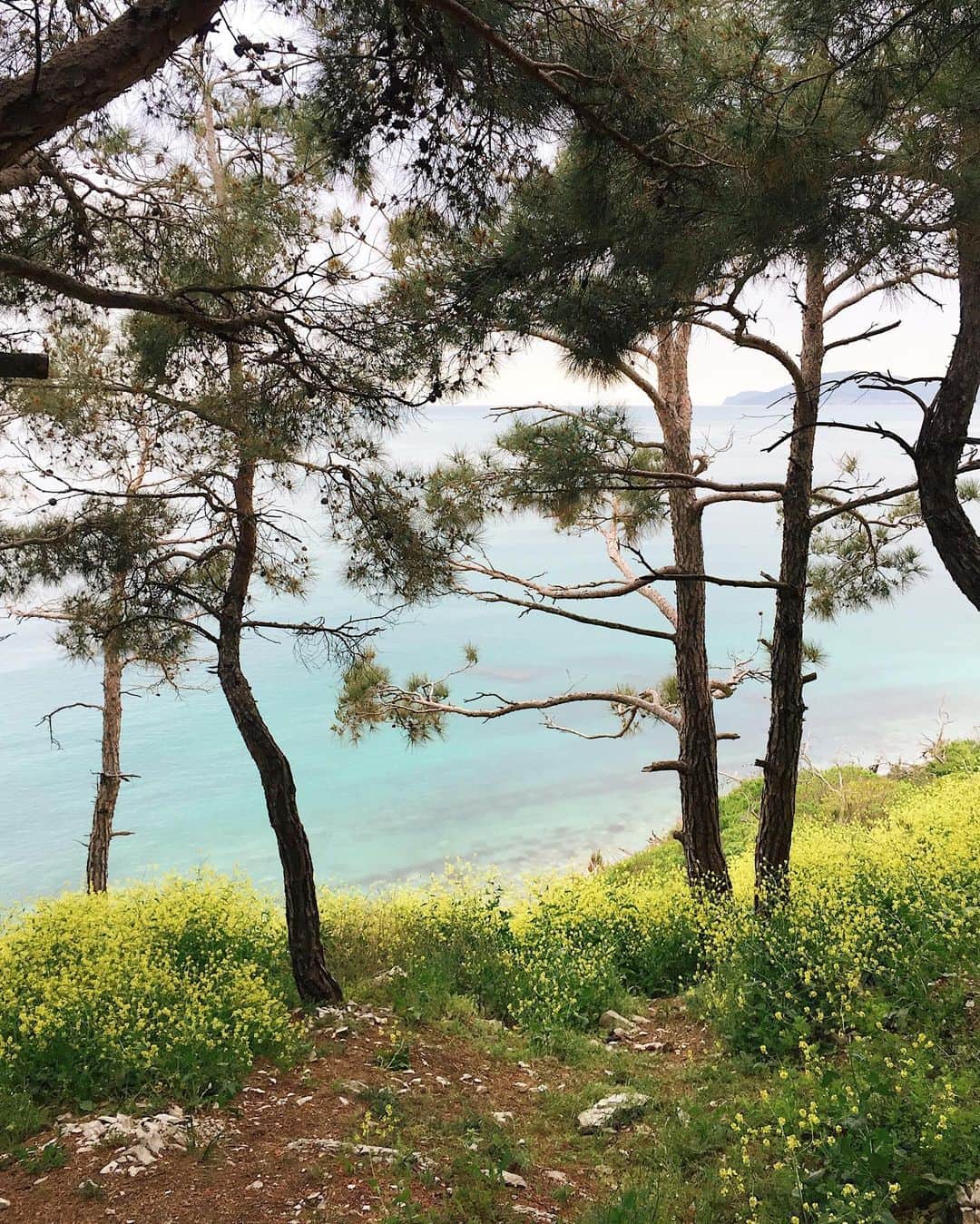 Ilya Mikhailovのインスタグラム：「🌊」