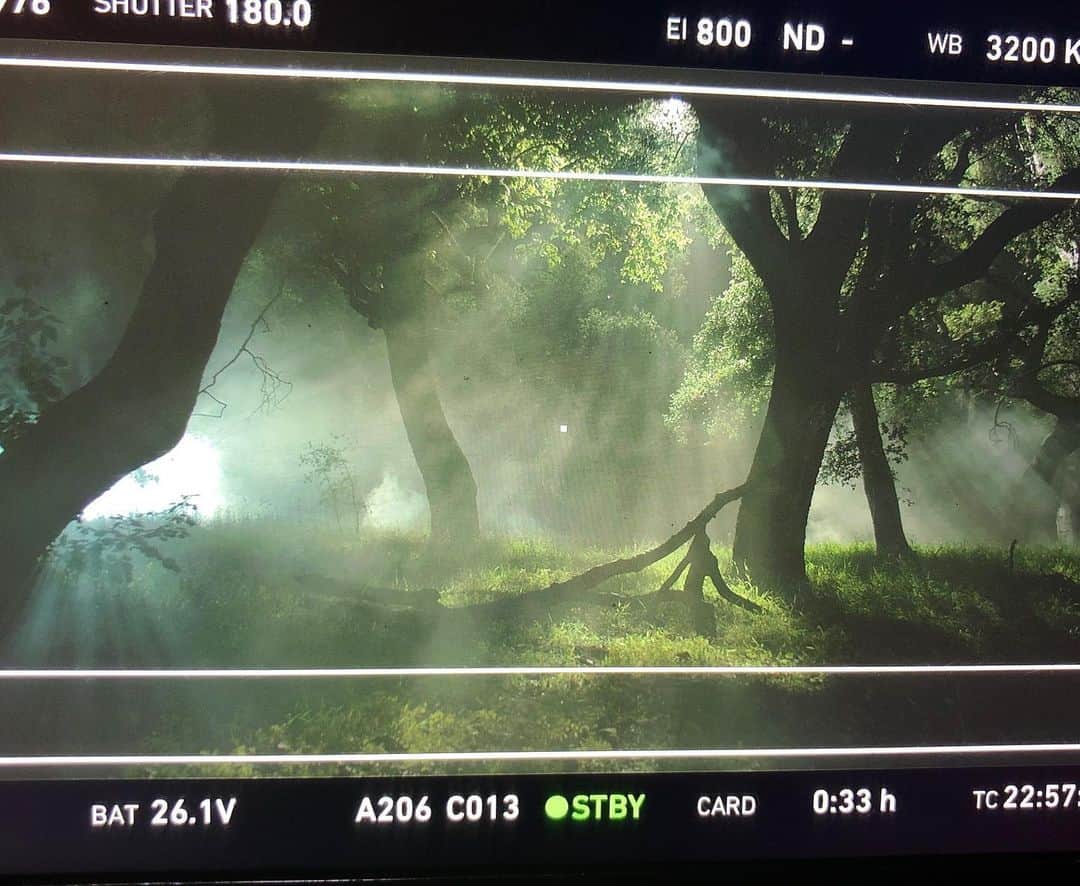 のインスタグラム：「“This is the #HourofLead” -Emily Dickinson Can’t wait to share this film with all of you. 🎥🎬」