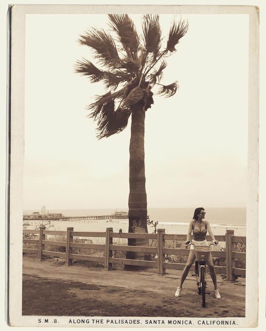 メラニー・サイクスさんのインスタグラム写真 - (メラニー・サイクスInstagram)「#tbt well not quite. 😁 Me today inbetween @thefrank_mag business Getting some fresh air. Thanks @alanstrutt for creating this 1930’s postcard. Love it #santamonica #vintagepostcard #la #trip #thefrankmagazine #frankbyname」6月7日 11時06分 - msmelaniesykes