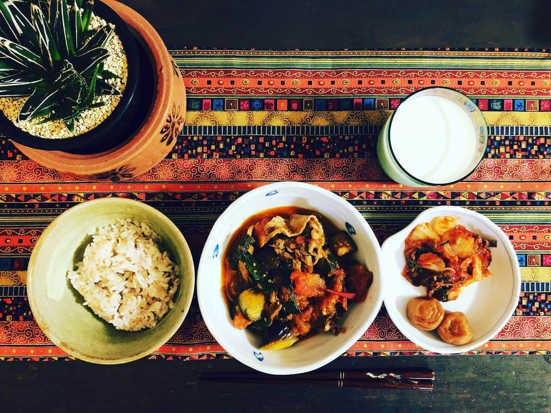 馬庭良介さんのインスタグラム写真 - (馬庭良介Instagram)「Lunch for today. #lunch #cooking #茄子 #豚肉 #トマト煮 #男の手料理」6月7日 11時39分 - maniwa_ryosuke