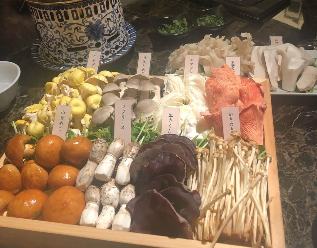 五明祐子さんのインスタグラム写真 - (五明祐子Instagram)「マエノリさんとイナトモさんと🥂✨ ひとりひと鍋のきのこ鍋🍄 10種類のきのこ、お野菜、お肉を、これまたきのこ🍄のおいしーいスープでいただくお鍋、すごく美味しかった😍💓 ・ ・ #きのこ鍋#シャングリラズシークレット #あのスープ水筒に入れてずっと飲んでいたいぐらい😆💓」6月7日 12時00分 - gomyoyuko